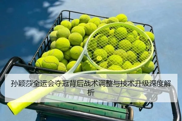 孙颖莎全运会夺冠背后战术调整与技术升级深度解析