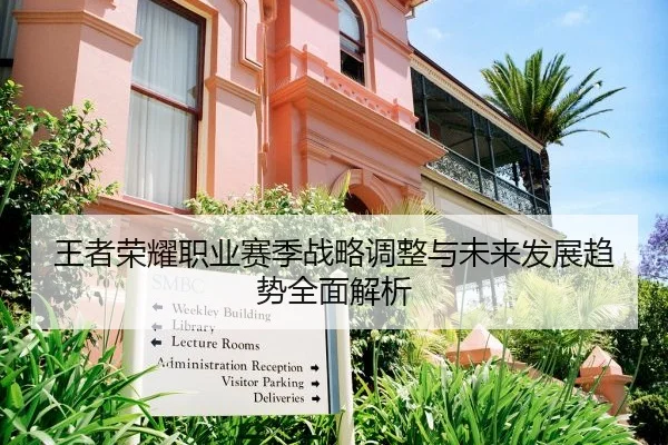 王者荣耀职业赛季战略调整与未来发展趋势全面解析